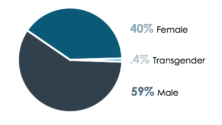 Pie Chart Of Homelessness