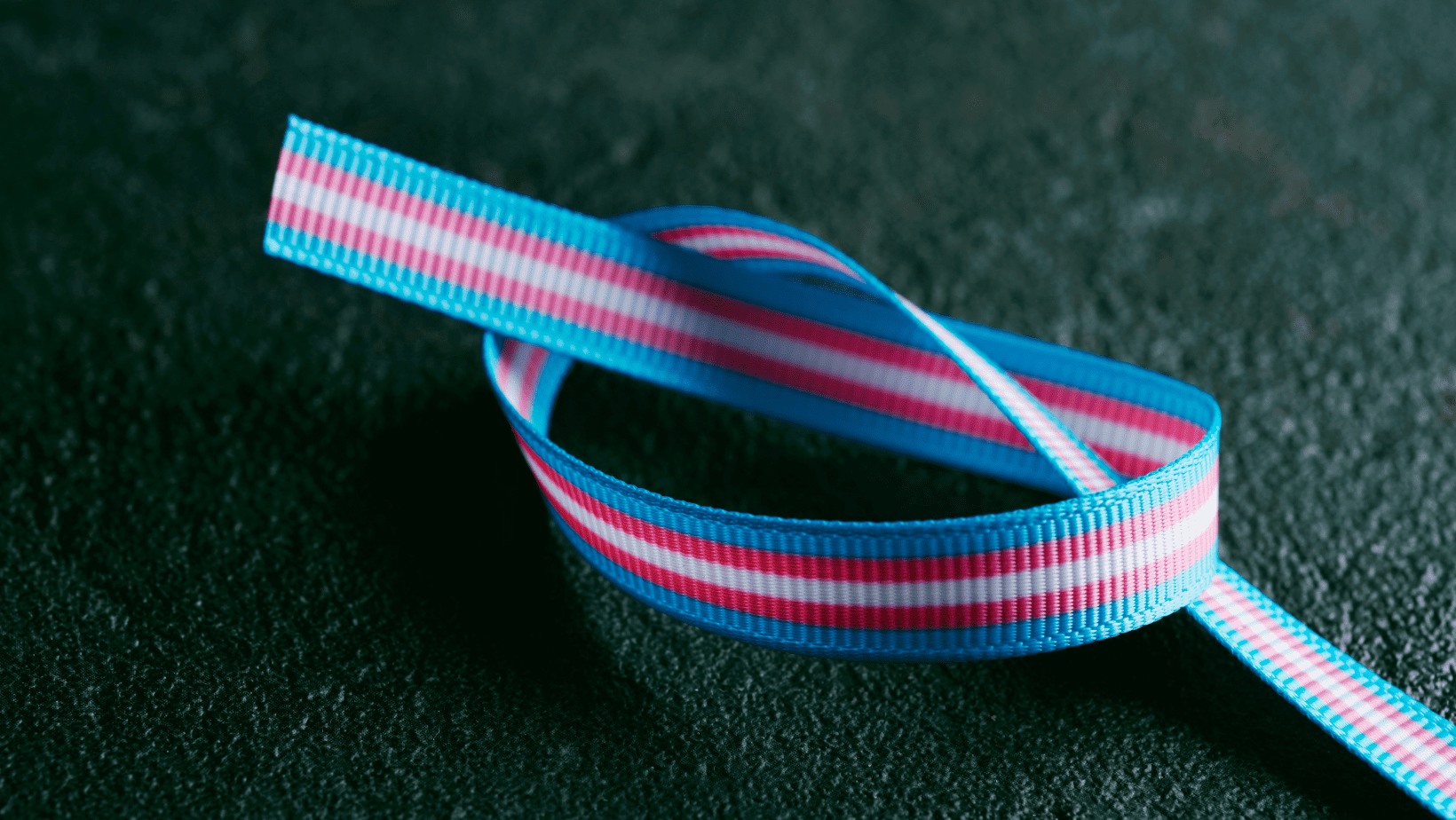 Ribbon striped with trans pride colors tied in a loose knot on black background